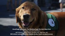 Good Dogs of Gotham: The Working Dogs Who Built New York in Off-Off-Broadway