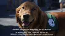 Good Dogs of Gotham: The Working Dogs Who Built New York
