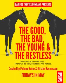 The Good, The Bad, The Young & The Restless  show poster