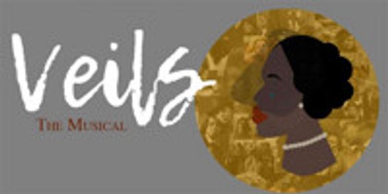 Veils show poster