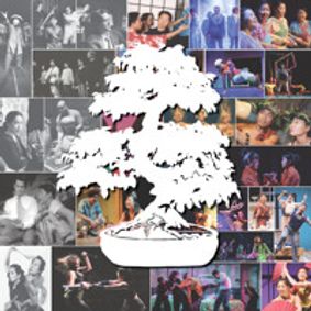 AAPI Generations Conference show poster