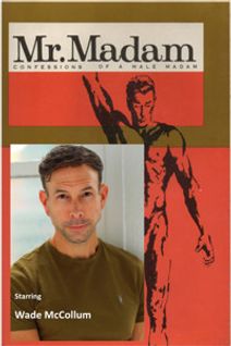 Mr. Madam - confessions of a male madam