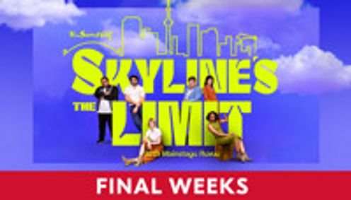 Skyline's the Limit show poster