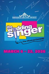 The Wedding Singer show poster