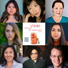 STAINS by Sarah Cho show poster
