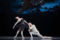 The National Ballet of Canada presents: Swan Lake
