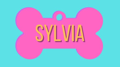 Sylvia show poster