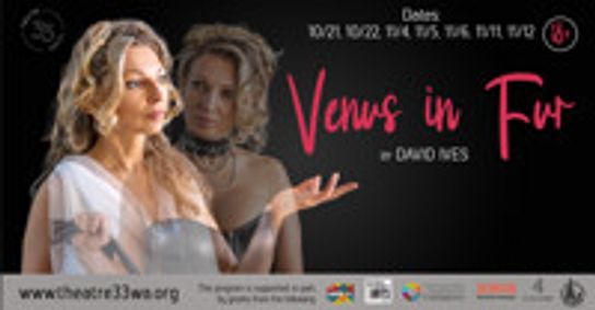Venus in Fur show poster