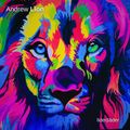 Andrew Lion 'lider|lader' - Pre-Release Show Feat. Players from: BND, NYC, DC, SFO, PDX, LAX in Oregon