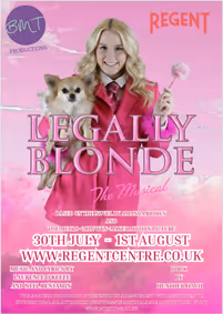 Legally Blonde the Musical show poster