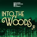 Into the Woods JR in New Jersey
