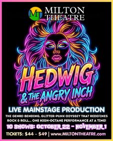 Hedwig and the Angry Inch show poster