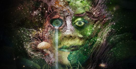 Bog Witch show poster