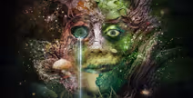 Bog Witch