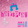 HAIRSPRAY in San Diego