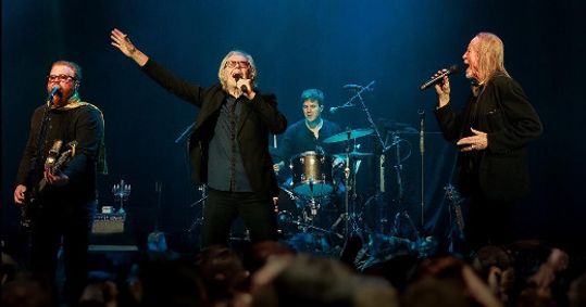 Three Dog Night show poster
