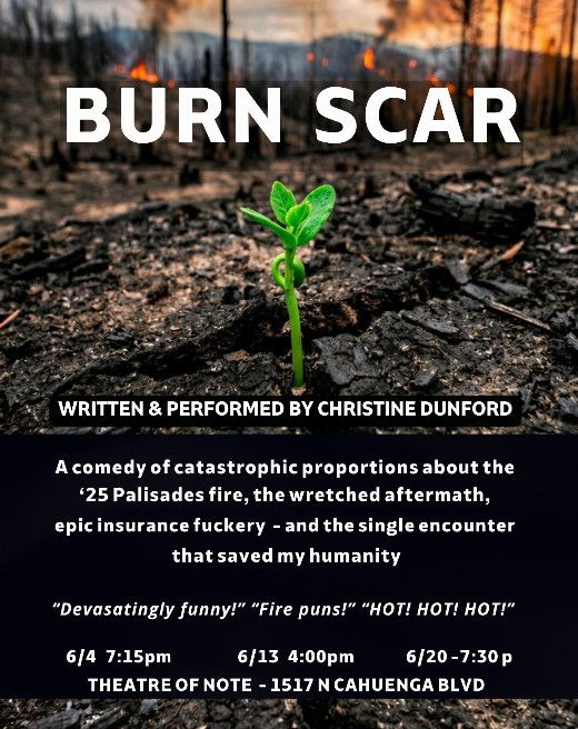 BURN SCAR