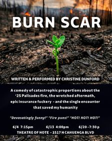 BURN SCAR show poster