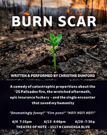 BURN SCAR