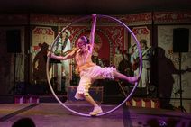 'TYGER'- A Circus Confession By Fools Delight Circus