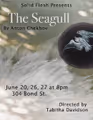 The Seagull in Brooklyn