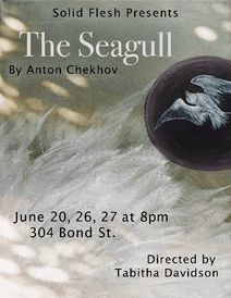 The Seagull