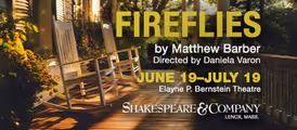 Fireflies in Boston