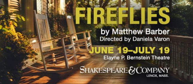 Fireflies show poster