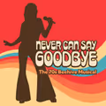 Never Can Say Goodbye: The 70s Beehive Musical in Colorado