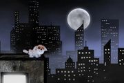 Arts Centre Melbourne presents New Owner in Australia - Melbourne