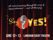 Say Yes! A Musical Journey