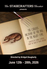 The Curious Incident of the Dog in the Night-Time show poster