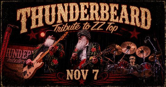 ThunderBeard show poster