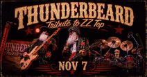 ThunderBeard