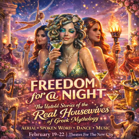 Freedom for a Night show poster