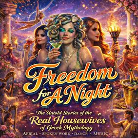 Freedom for a Night show poster