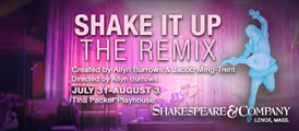 Shake It Up: The Remix in Berkshires