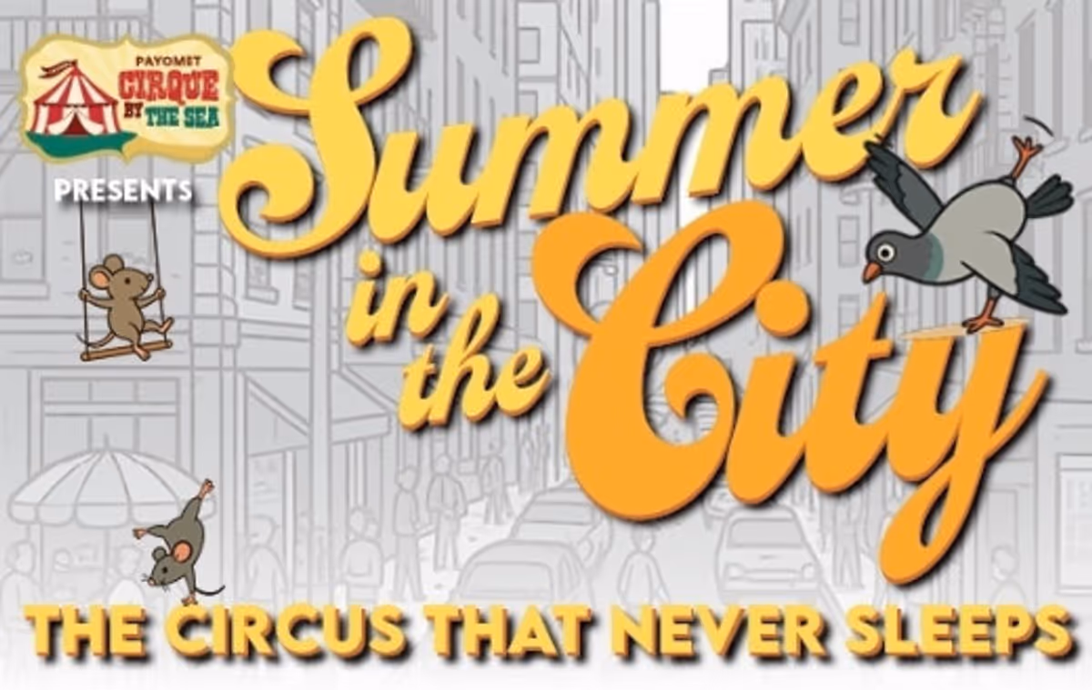 Summer in the City: the Circus that Never Sleeps