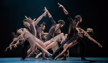 Student Matinee: Complexions Contemporary Ballet