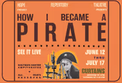 How I Became a Pirate in Michigan