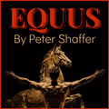 "Equus" in Rockland / Westchester
