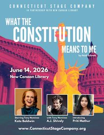 What the Constitution Means to Me