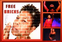 Sonja Marie’s Free Bricks – two shows only – a Black History [every] Month Special Event