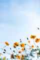 The Seasons of Vivaldi + Piazzolla in South Bend