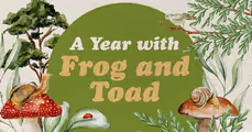 A Year with Frog and Toad in Omaha