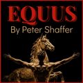 'Equus' by Peter Shaffer in Buffalo
