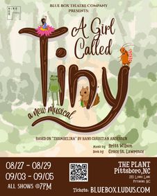 A Girl Called Tiny show poster
