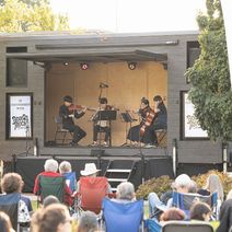 COMMUNITY CONCERT with our Young Artist Institute