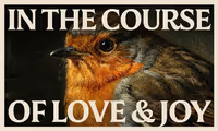 In the Course of Love and Joy in Brooklyn