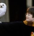 Harry Potter and the Philosopher’s Stone™ In Concert (PG) in UK Regional